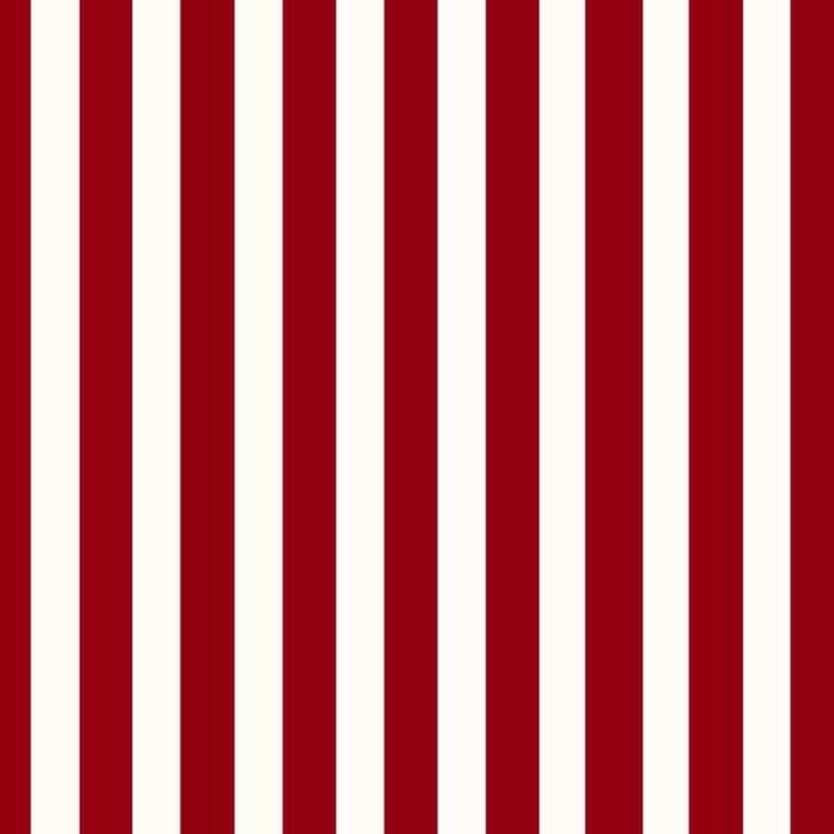 CIRCUS