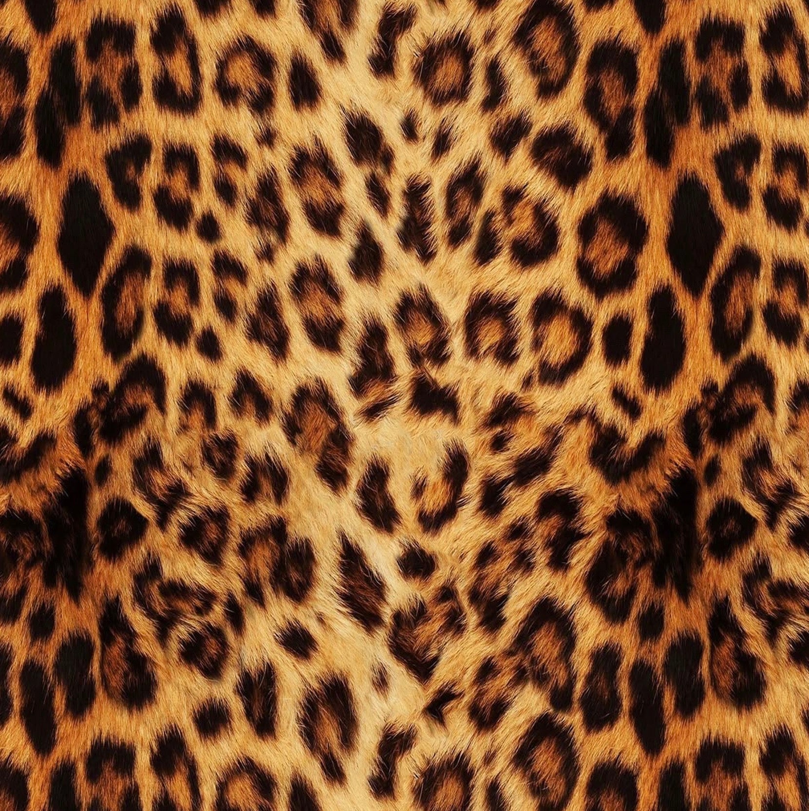 WILD