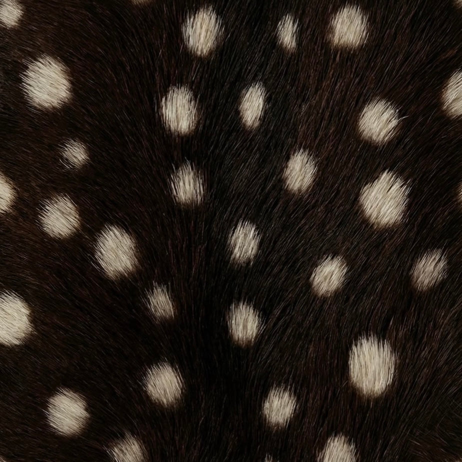 MOCHA